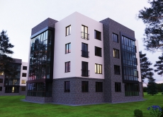 Жилые дома п.Ложок